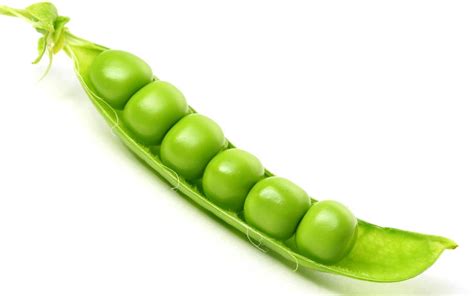 peas traduction|peas en español.